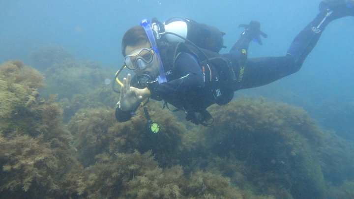 Diving Center