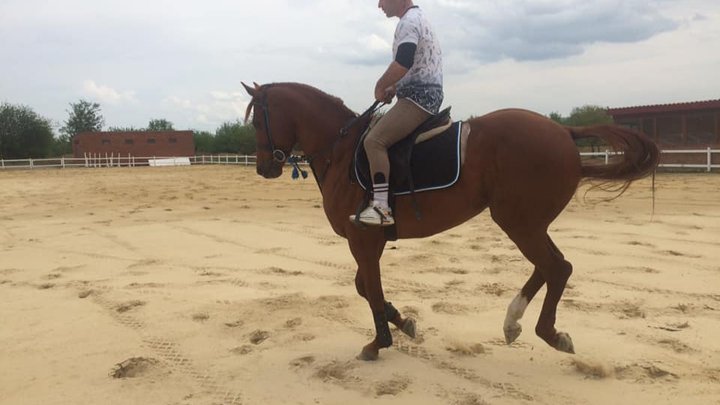 Batumi Horse Club