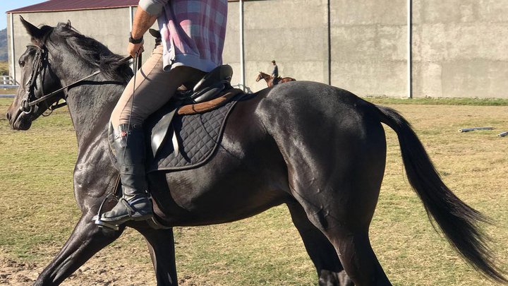Batumi Horse Club