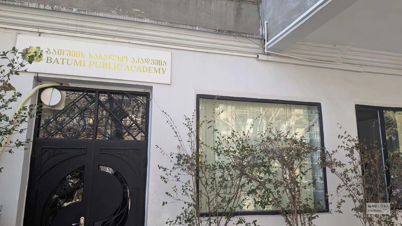 Batumi Public Academy – частная академия в Батуми