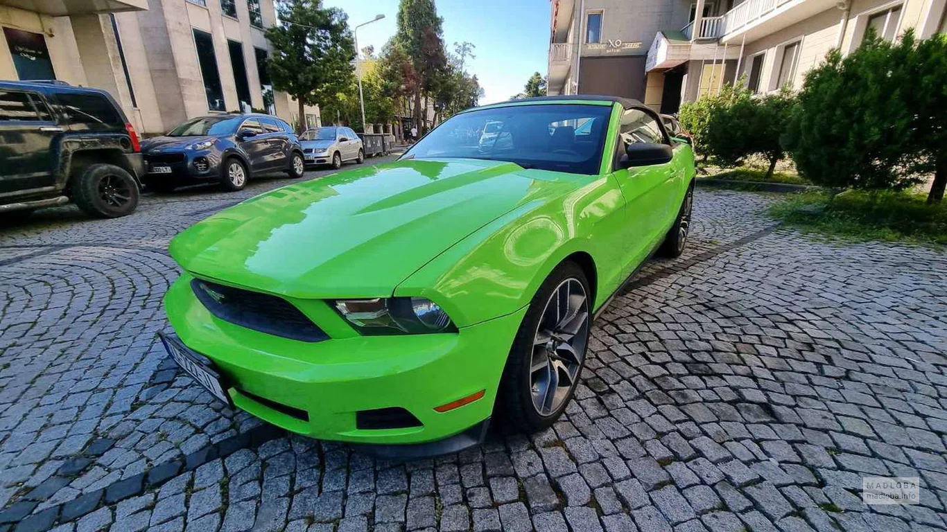 Mustang на прокат "BatumicarsGE"