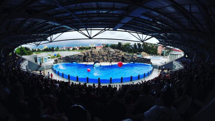 Batumi Dolphinarium