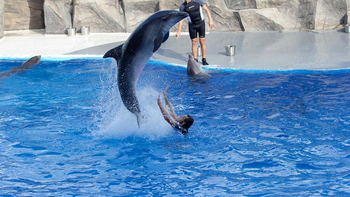 Batumi Dolphinarium