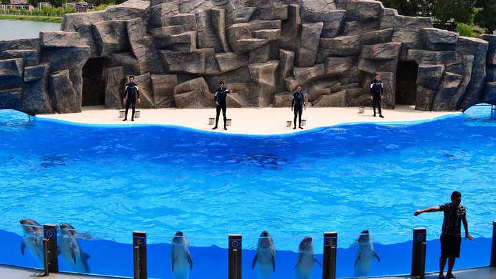 Batumi Dolphinarium