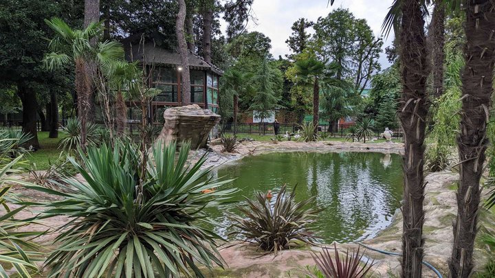 Bird Zoo