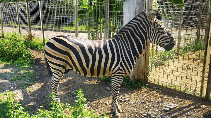Batumi Zoo