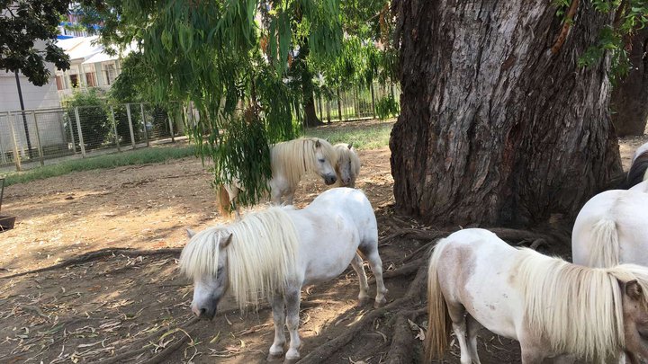 Batumi Zoo