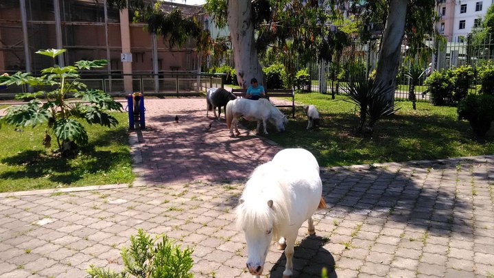 Batumi Zoo