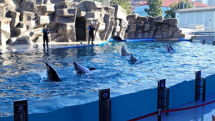 Batumi Dolphinarium
