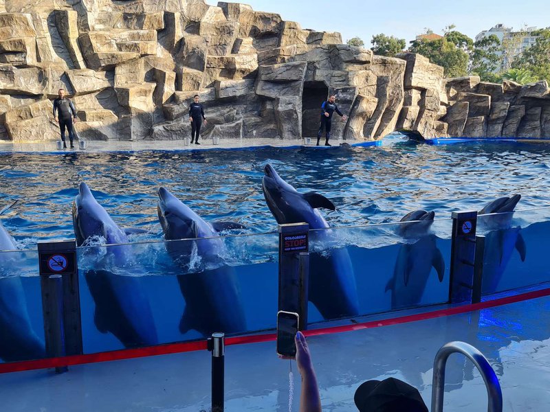
								Batumi Dolphinarium