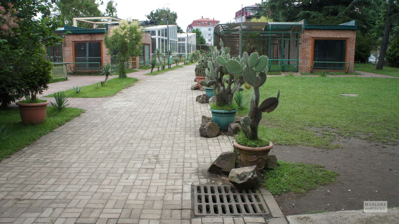 Батумский зоопарк