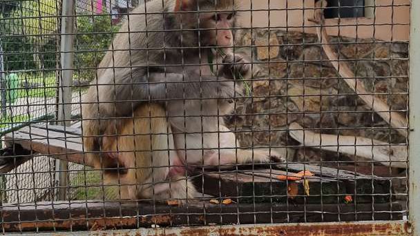 Batumi Zoo