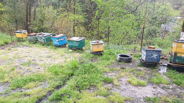Beehives - guest house