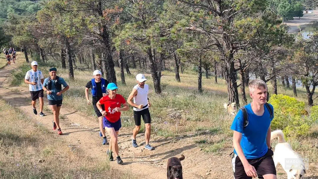 Беговой клуб "Tbilisi Running Club"