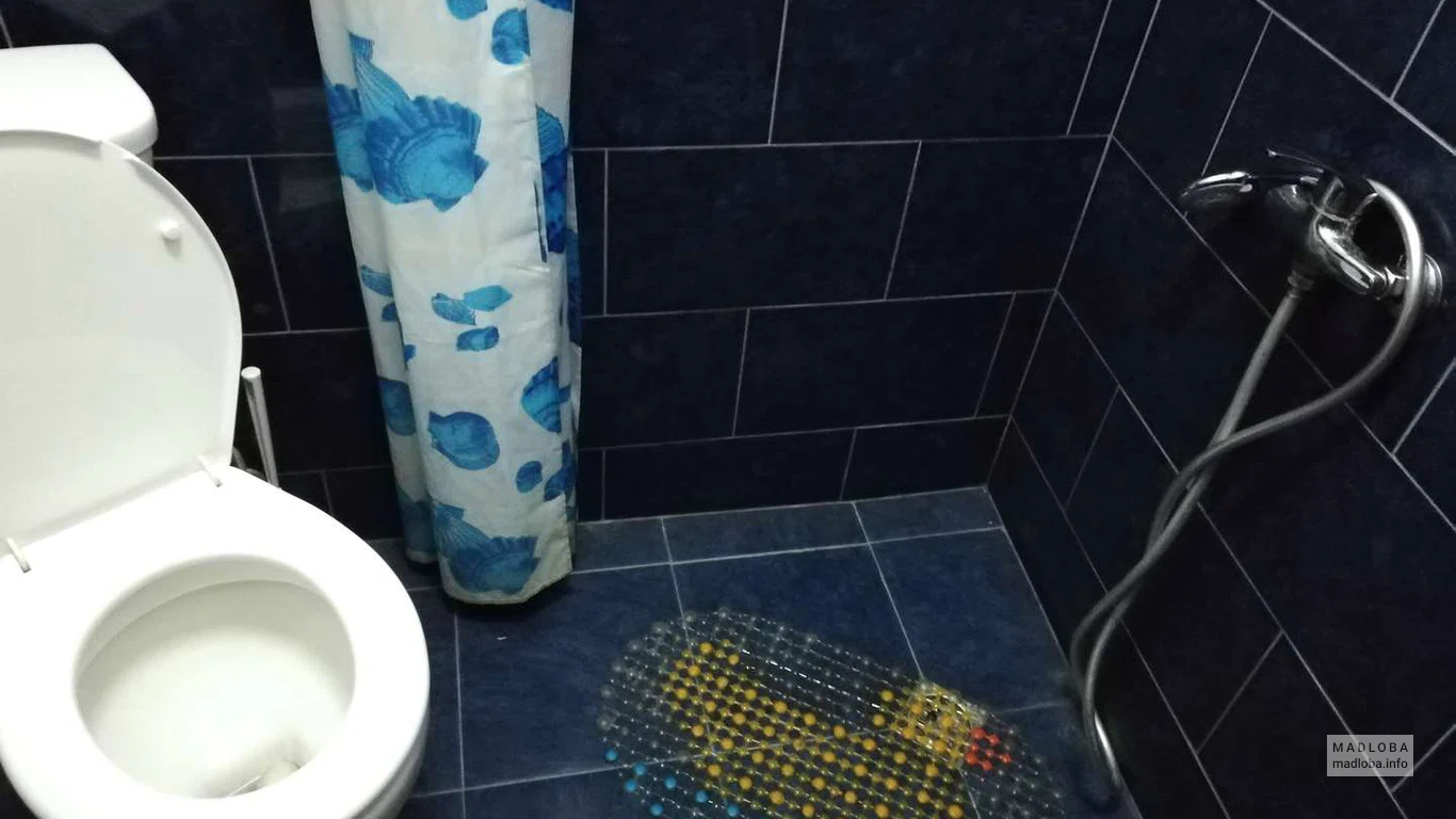 Санузел в номере в хостеле Бека