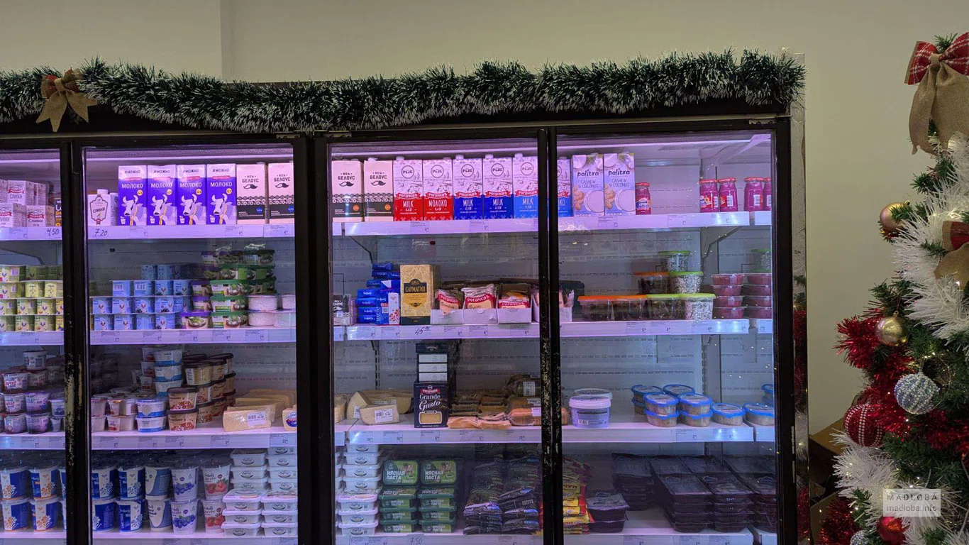 Молочные продукты в магазине Bulbaland