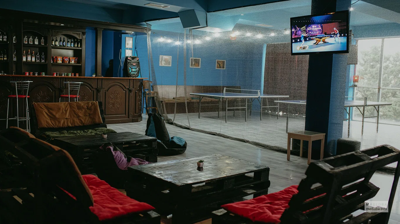 ბილიარდი და მაგიდის ჩოგბურთი