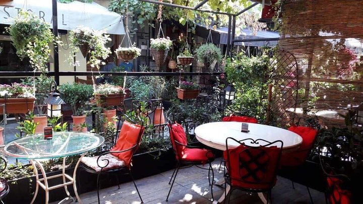 Bloom Cafe