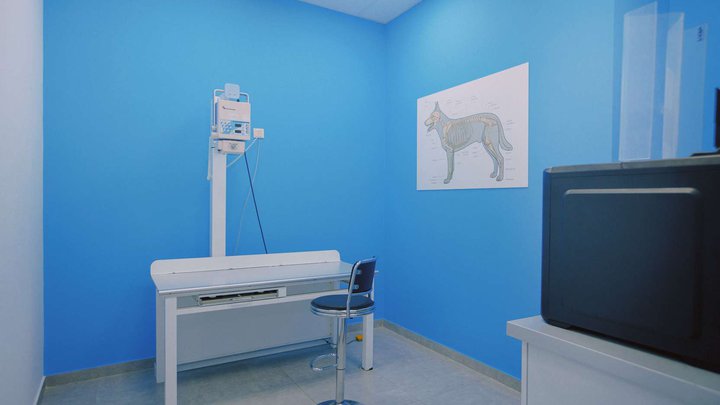 Vetlife