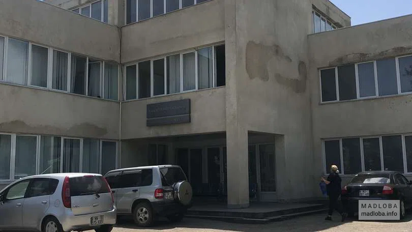 Вход в больницу Тетрицкаро