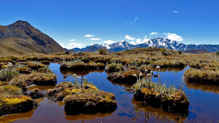 Swamps of Spain