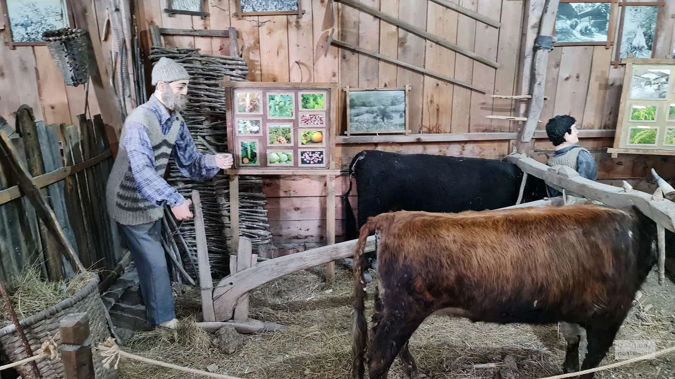 Экспонаты этнографического музея Борджгало