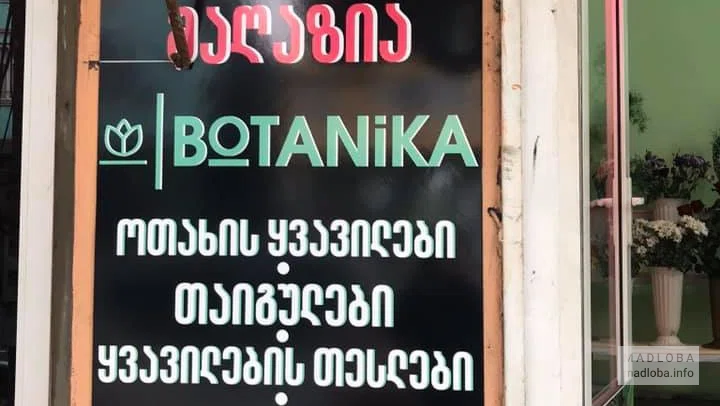 Ботаника