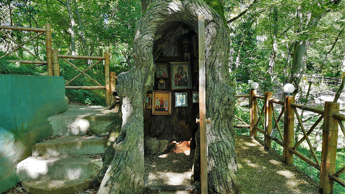 Ботанический сад Кутаиси