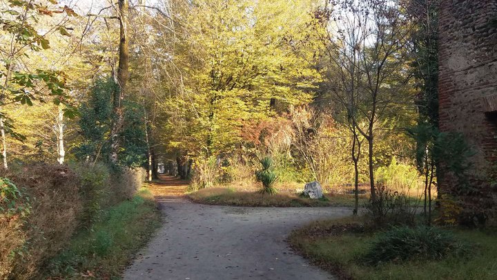 Botanical Garden in Zugdidi