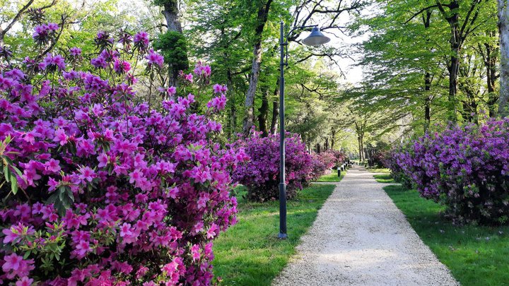 Botanical Garden in Zugdidi