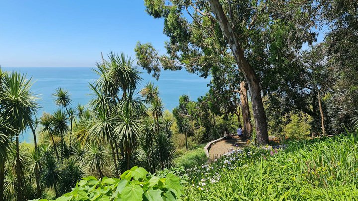Batumi Botanical Garden