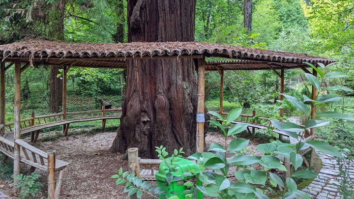 Kutaisi Botanical Garden