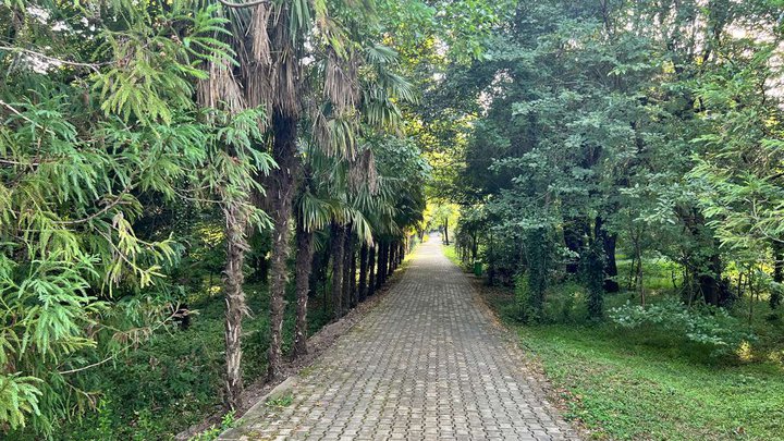Kutaisi Botanical Garden