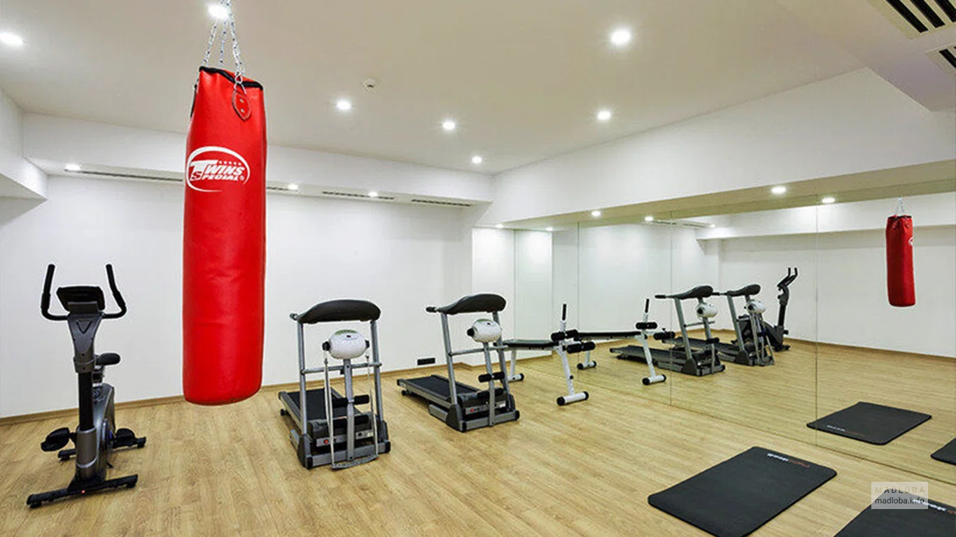 Спортивный зал в Shota Rustaveli Boutique Hotel
