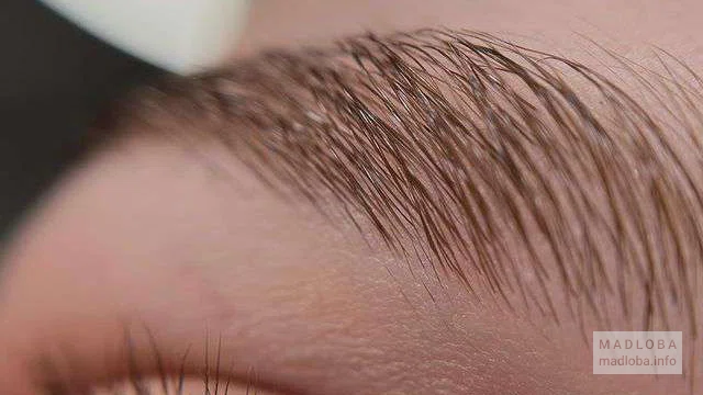 Beauty salon "Browvibelinda" eyebrow coloring