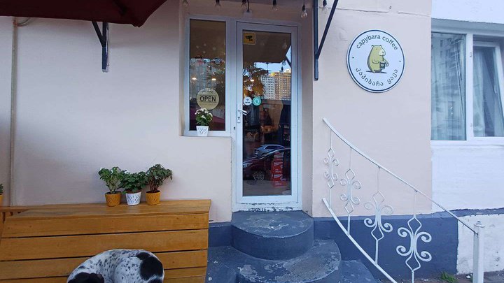 Capybara Coffee