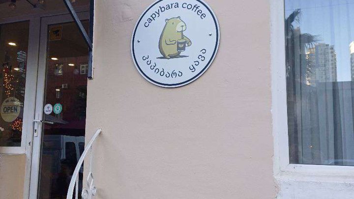 Capybara Coffee