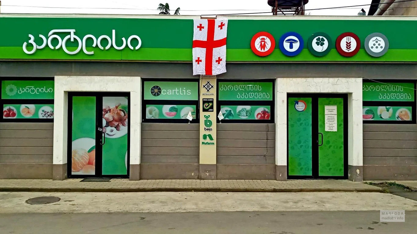 Главный вход в Картлис в Тбилиси