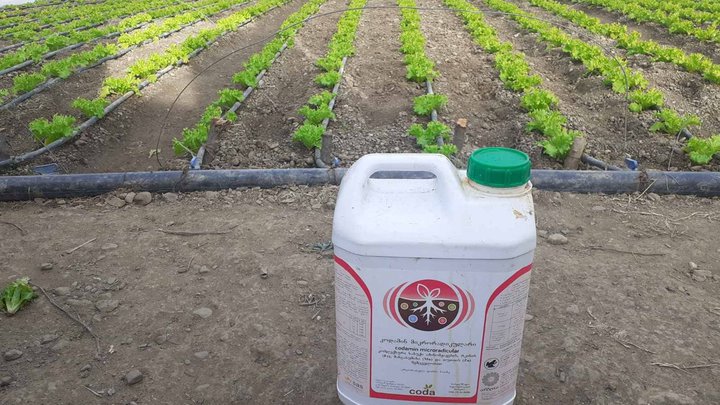 Cartlis AgroSystems