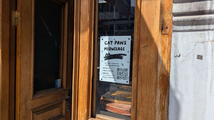 Cat Paws