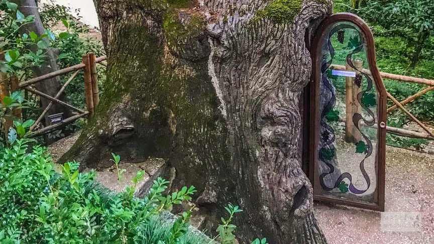 Chapel inside an old oak tree