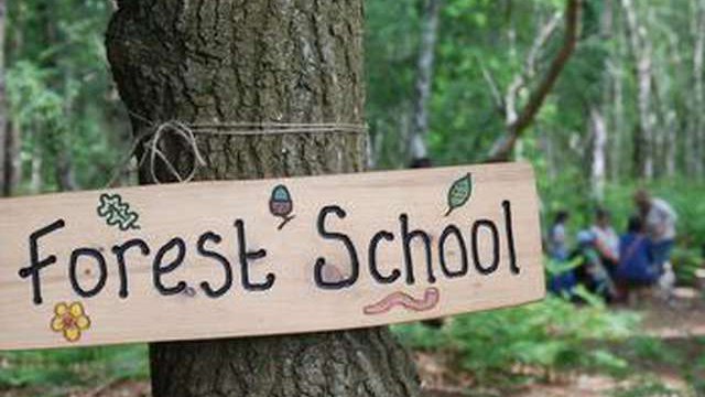 FOREST SCHOOL