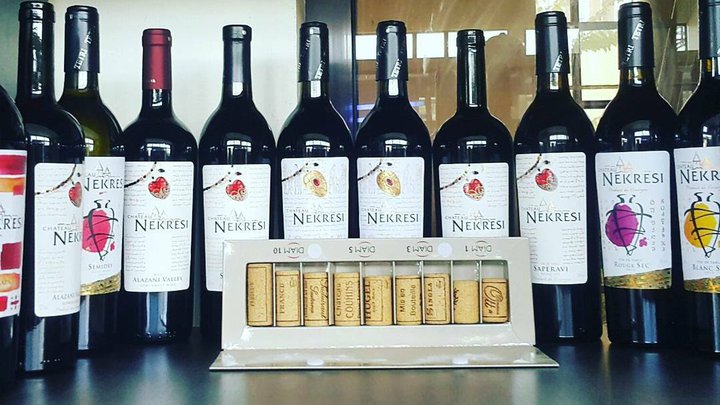Chateau nekresi
