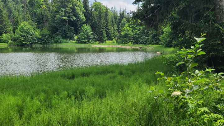 Black Lake