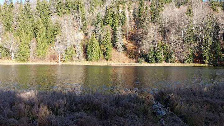 Black Lake