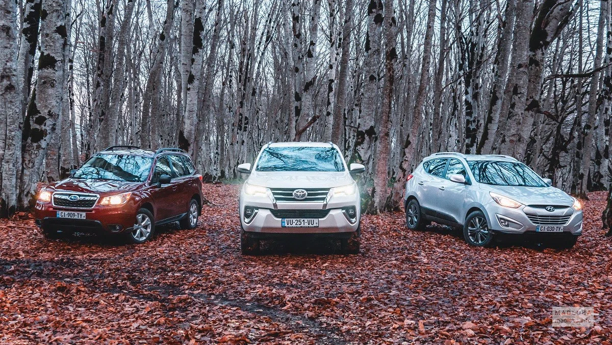 City Rent Car Georgia