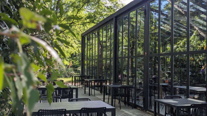 Coffee LAB | Lisi Lake