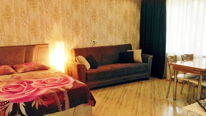 Comfortable studio apartment near the metro