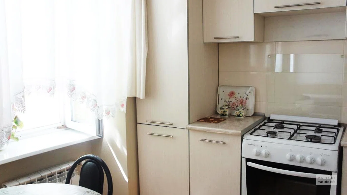 Кухня в номере Dadiani Studio Apartment