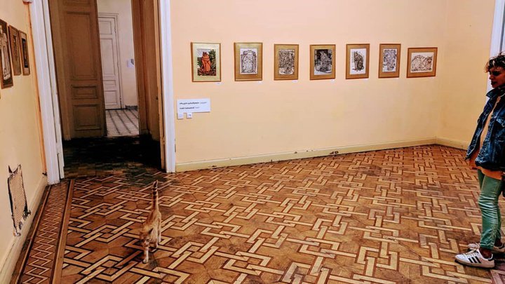 Daraba ონლაინ გალერეა